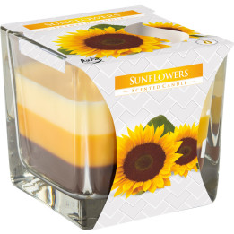 Bispol sviečka Trojfarebná Sunflowers 170g