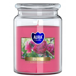 Aura Bispol Peony vonná sviečka 500g