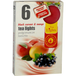 Aura sviečka voňavá Currant a Mango 4ks/bal