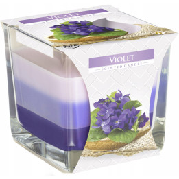 AURA Vonná sviečka fialka 170g